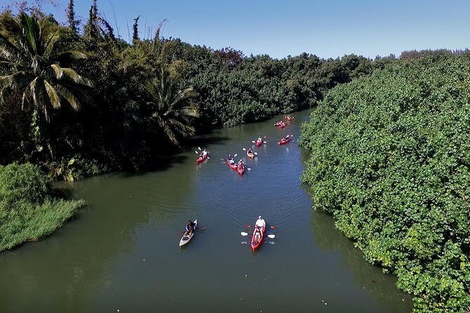 Hanalei Bay Morning Kayak and Snorkel Tour - Hanalei Bay snorkeling: how the guide turns reef spotting into an easy game