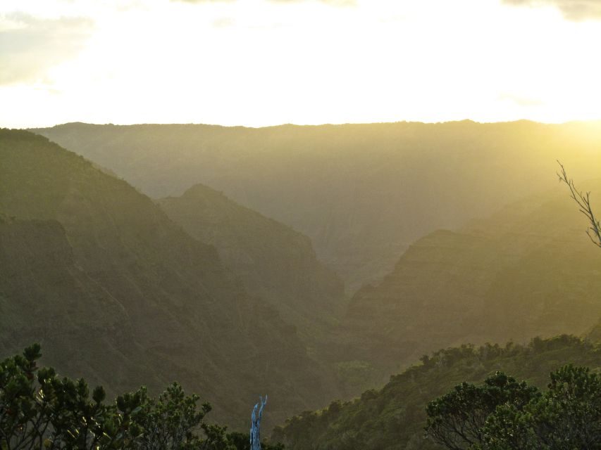Kauai: Full-Day Kauaʻi Adventure - Should you book the Waimea Canyon & Kōkeʻe private day?