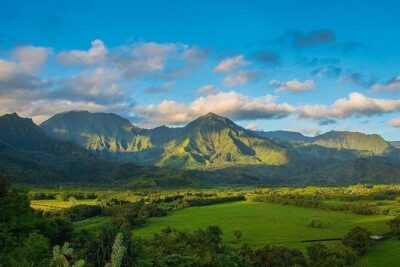 Kauai: Highlights & Movie Sites - Small-Group Mini Coach: The Day’s Pace and Comfort