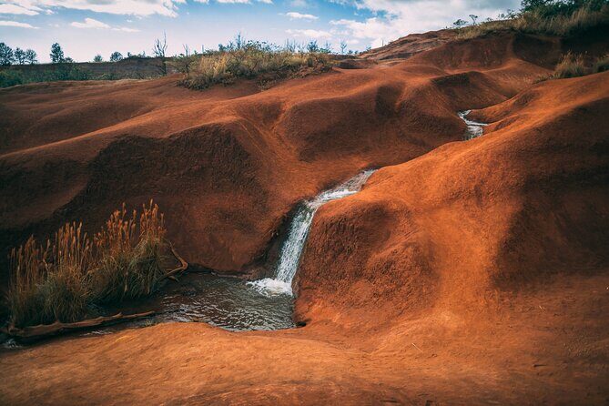 Kauai Island Private Guided Tour-Waimea Canyon from Poipu/Koloa - Private SUV Canyon Day: what you’re really buying for $950