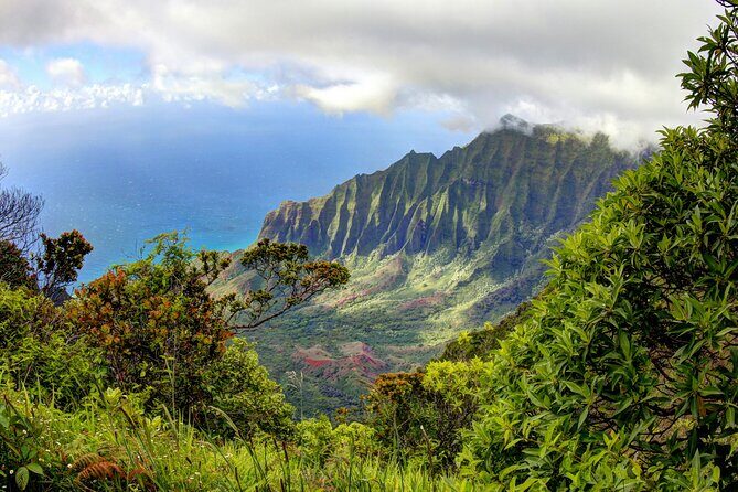 Kauai Island Private Guided Tour-Waimea Canyon from Princeville - Best bits of this Kauai private tour