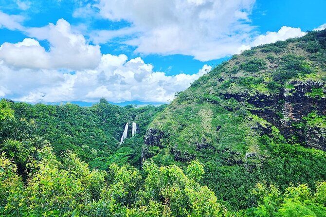 Kauai Island Private Guided Tour-Waimea Canyon from Princeville - Kauai Coffee Company: learn the process, then taste what you paid for