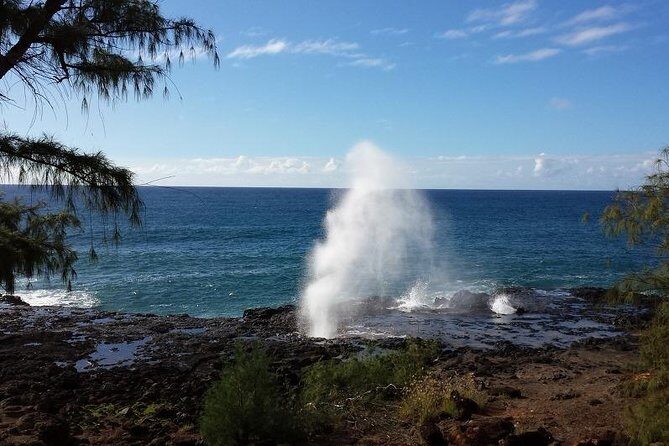 Kauai Island - Private Tour : Waimea Canyon and Southside - Why This Private Kauai Ride Feels Easier Than Self-Driving