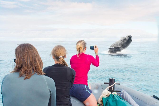 Kauai Raft Adventure: Whale Watch Discovery - Key Things I’d Pay Attention To