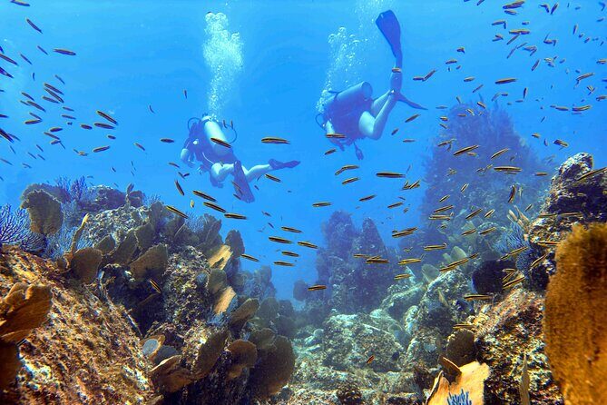 Kauai Scuba Diving for Beginners - Koloa Landing shore setup: why this site fits beginners