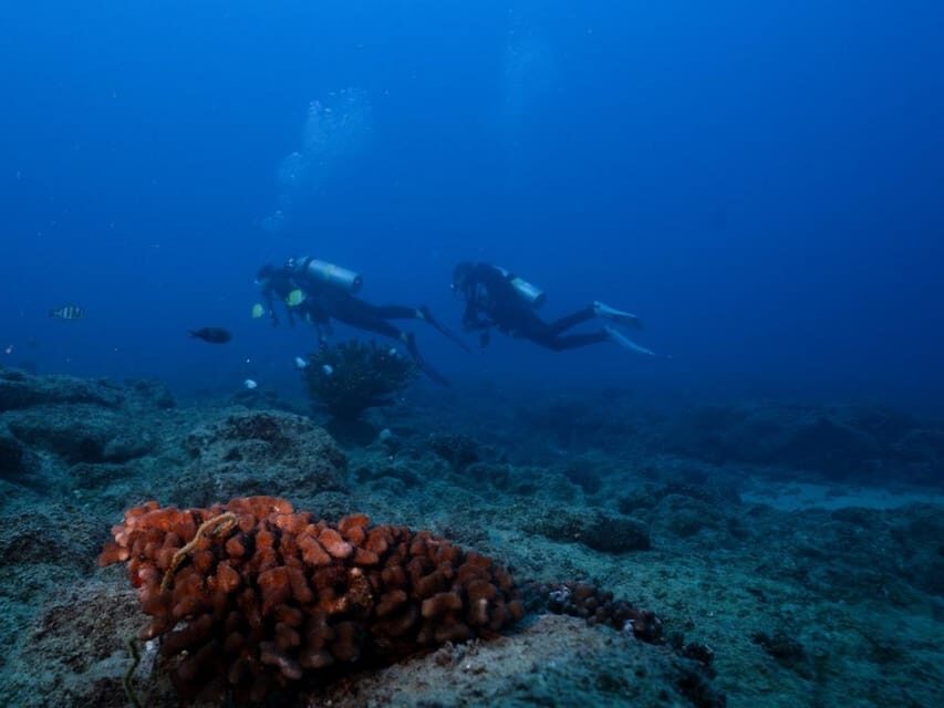 Kauai: Shore Diving at Koloa Landing, Poipu - Your 3–4 Hour Plan: Gear Up, Shore Access, 1 or 2 Tanks