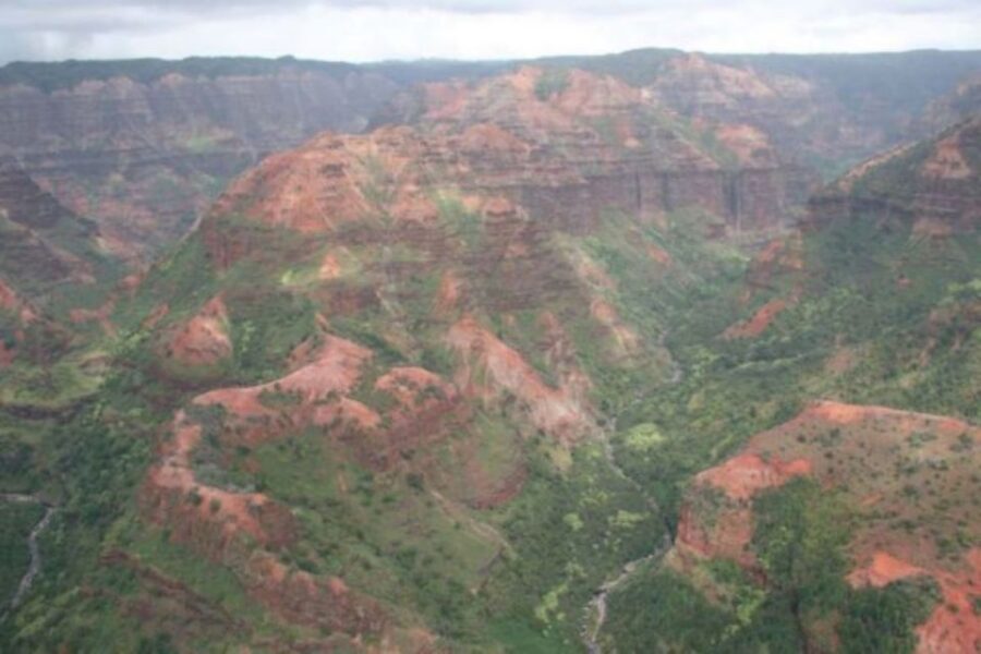 Kauai: Waimea Canyon and Waterfall Adventure Day Tour - Tree Tunnel Drive: One Mile Under 500 Eucalyptus Trees