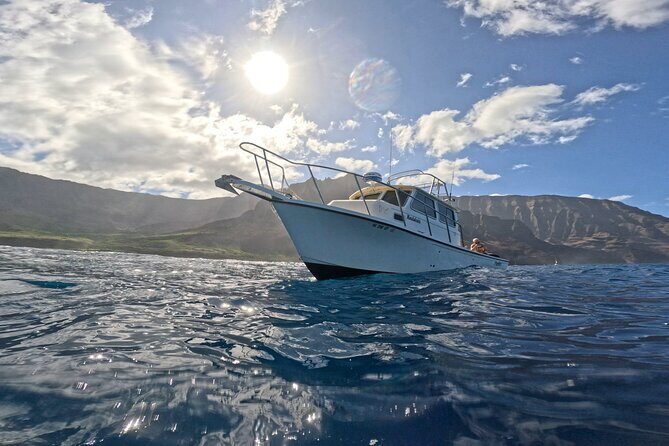 Private Deep Water Fishing in Kauai - Wildlife spotting isn’t a side show: whales and shark moments can happen