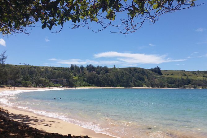 Private Kauai North Shore Tour - Opaeka’a Falls and the Hanalei Valley Lookout: waterfall drama + taro country