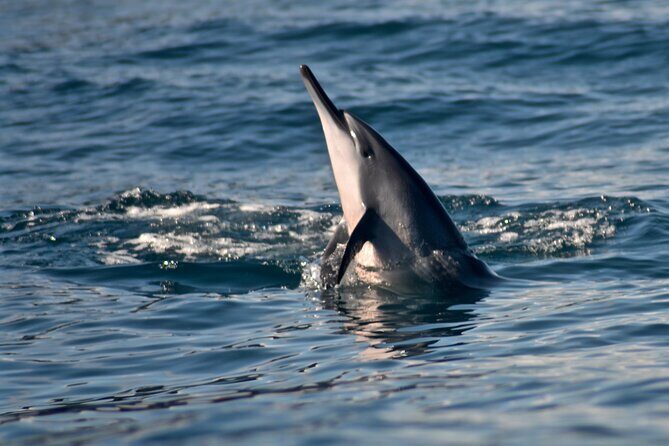 Private Na Pali Coast Tour - Price and Value: What $2,700 Gets You for Up to 6