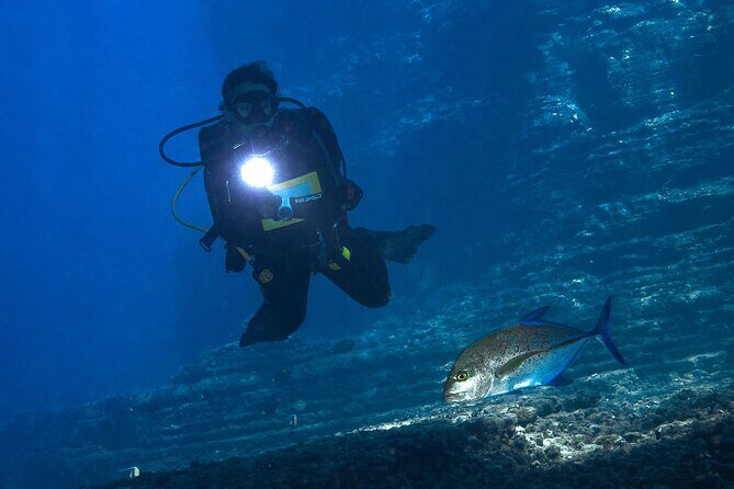 Private Niihau Scuba Charter with 2 or 3 Tank Dive Option - Who Should Book This Niʻihau Charter (and Who Should Skip)