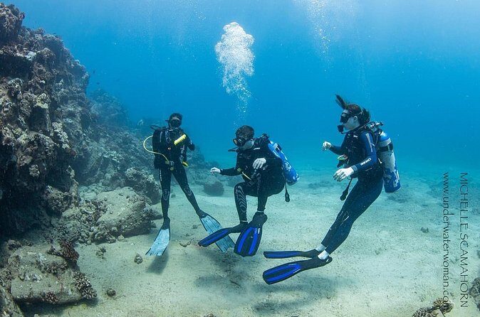 Try Scuba Diving on Kaua’i with Sea Turtles - Who This Kaua’i Sea Turtle Scuba Try Suits Best